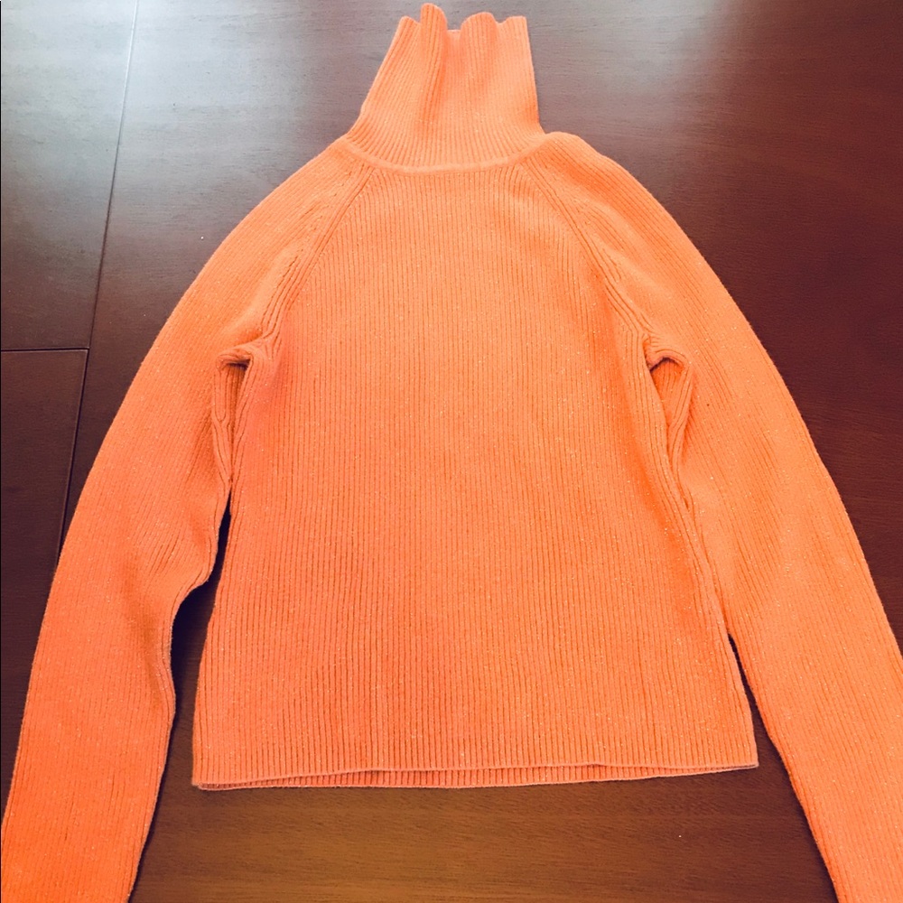 Jeanne Pierre Turtleneck